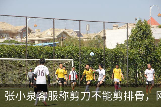 张小泉客服称剪刀不能剪排骨，网友质疑宣传视频为AI合成，最新回应